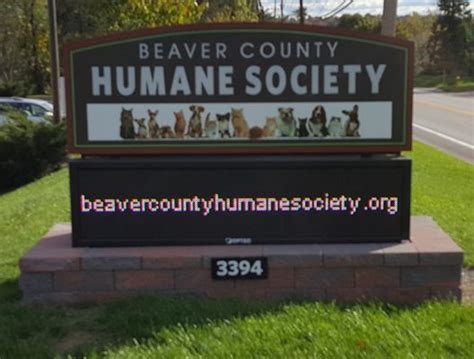 Beaver county humane society center township pa - Center Township, PA 15001 United States + Google Map Phone 724-775-5801 ... Beaver County Humane Society is a registered 501(c)3 nonprofit. EIN: 25-1064313 Website by ...